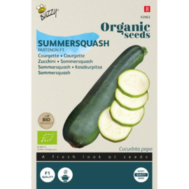 Courgette zelfbestuivende 'Partenon F1', Cucurbita pepo Biologisch