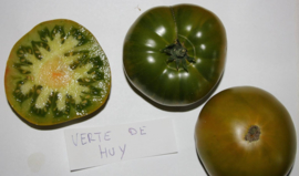 Tomaat vleestomaat 'Verte De Huy', Solanum lycopersicum