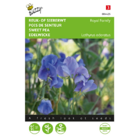 Lathyrus odoratus 'Royal Family Blue', Reuk- of Siererwt