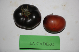 Vleestomaat 'La Cadero', Solanum lycopersicum