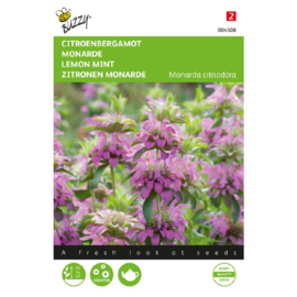Citroenbergamot, Monarda citriodora
