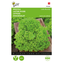 Krulsla 'Lollo Bionda',Lactuca sativa