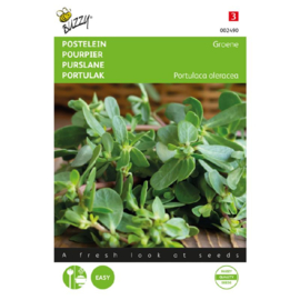 Portulaca oleracea, Postelein Gewone groene