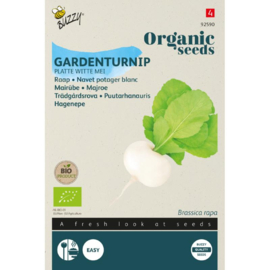 Meiraap 'Platte Witte Mei', Brassica rapa var. majalis Biologisch