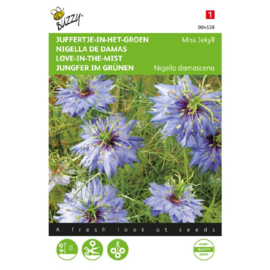 Nigella damascena 'Miss Jekyll’, Juffertje in het groen