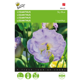 Lisianthus 'Sky Blue', Eustoma