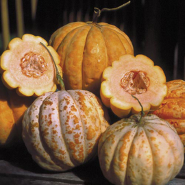 Kantaloepmeloen ananasmeloen 'Oranje Ananas', Cucumis melo