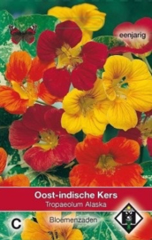 Tropaeolum majus 'Alaska', Oost Indische Kers niet rankend