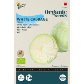 Witte kool 'Drago F1', Brassica oleracea biologisch