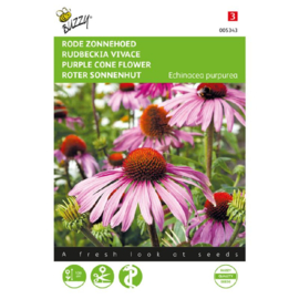 Echinacea purpurea, Zonnehoed Rudbeckia