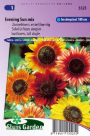 Helianthus annuus 'Evening Sun Mix', Zonnebloem