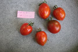 Cherrytomaat 'Rambling Red Stripe', Solanum lycopersicum