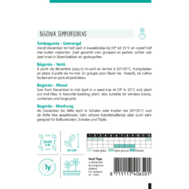 Begonia semperflorens mix, Doorbloeiende Begonia zaaibegonia
