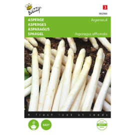 Asperge 'Argenteuil', Asparagus officinalis