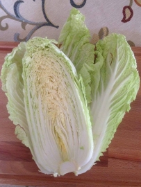 Chinese kool 'Granaat', Brassica rapa var. pekinensis Biologisch