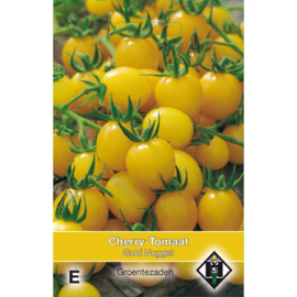 Cherrytomaat 'Gold Nugget', Solanum lycopersicum