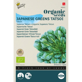 Bladkool mosterd Asia salat 'Tatsoi Green Coin', Brassica rapa var. rosularis Biologisch