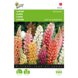 Lupinus polyphyllus 'Minarette', Lage Lupine