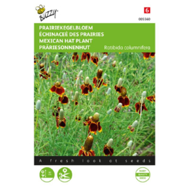 Ratibida columnifera, Prairiekegelbloem