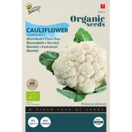 Bloemkool 'Goodman F1', Brassica oleracea Biologisch