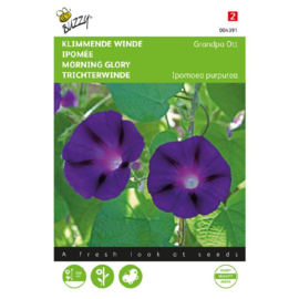 Ipomoea purpurea 'Grandpa Ott', Klimmende Winde