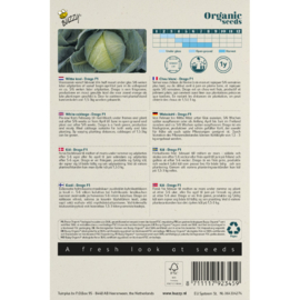 Witte kool 'Drago F1', Brassica oleracea biologisch