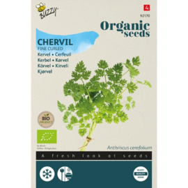 Kervel Fijne krul, Anthriscus cerefolium Biologisch