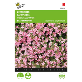 Saponaria ocymoides, Zeepkruid