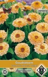 Calendula officinalis 'Apricot Delight', Goudsbloem