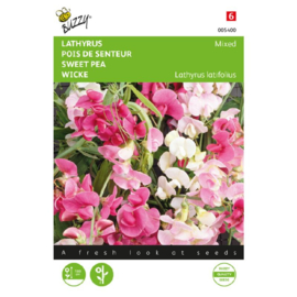 Lathyrus latifolius MIX/'Pearl Mix', Siererwt meerjarig