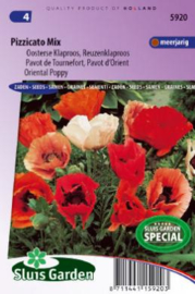 Papaver oriëntale 'Pizzicato Mix', Oosterse Klaproos of Reuzenklaproos