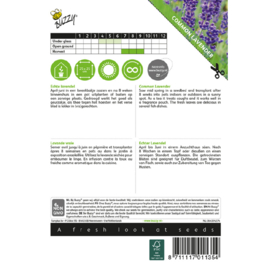 Lavendel, Lavandula angustifolia