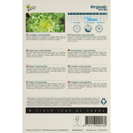 Krulandijvie 'Grosse Pancalière', Cichorium endiva Biologisch