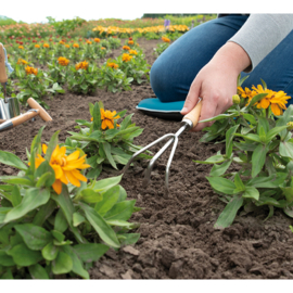 Tuinartikelen & Kweekbenodigheden
