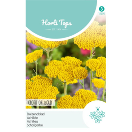 Achillea Filipendula 'Cloth Of Gold' Duizendblad