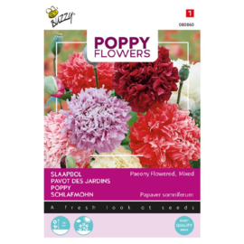 Papaver somniferum 'Paeony Flowered Mix', Papaver of Slaapbol