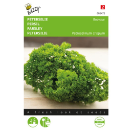 Peterselie gekrulde fijne 'Bravour', Petroselinum crispum