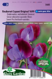 Lathyrus odoratus 'Cupani Original 1699', Siererwt