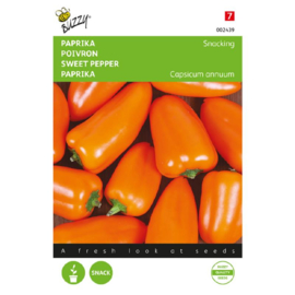 Snackpaprika oranje snacking 'Naranja', Capsicum annuum