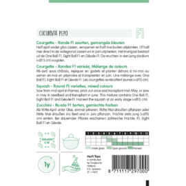 Courgette ronde ‘Mixed F1’, Cucurbita pepo