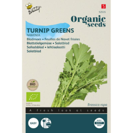 Raapsteel 'Namenia', Brassica rapa Biologisch
