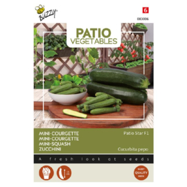 Courgette klein 'Patio Star F1', Cucurbita pepo