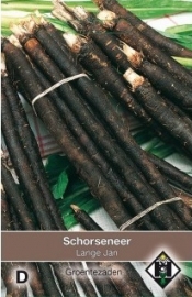 Schorseneren 'VRN-Enorma', Schorzonera hispanica