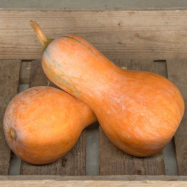 Pompoenen eetbare 