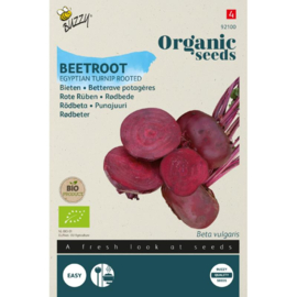 Biet rode 'Egyptische Platronde', Beta vulgaris var. rubra Biologisch