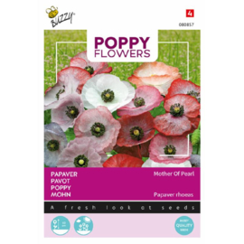 Papaver rhoeas ‘Mother of Pearl’, Klaproos