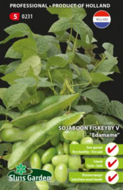 Sojaboon Fiskeby V 'Edamame', Glycine max
