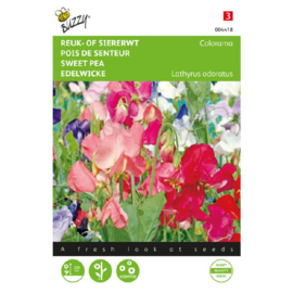 Lathyrus odoratus 'Colorama Mix', Reukerwt