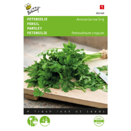 Peterselie Amsterdamse snij, Petroselinum crispum