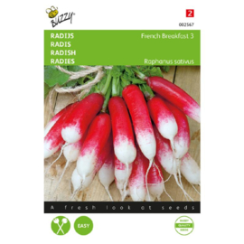Radijs 'French Breakfast 3', Raphanus sativus
